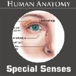 Logo of Special Senses android Application 